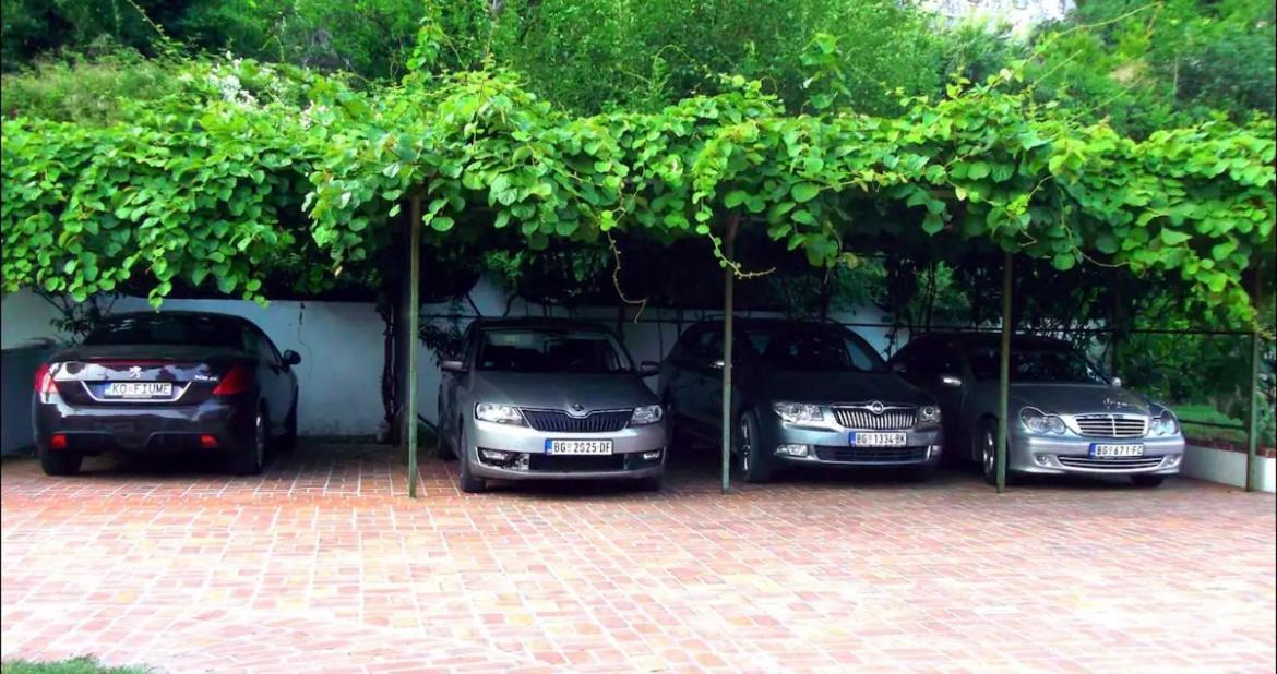Apartmán Carine Garden Risan Exteriér fotografie