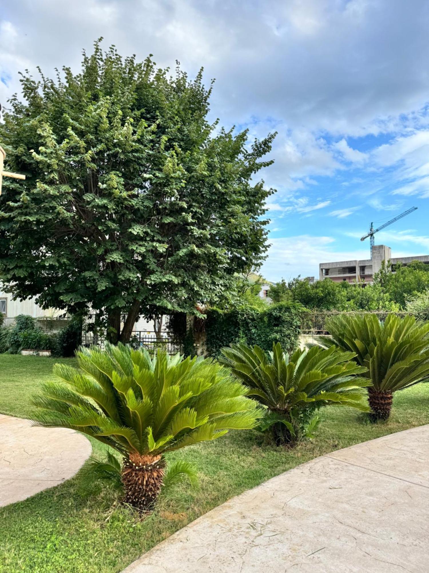 Apartmán Carine Garden Risan Exteriér fotografie